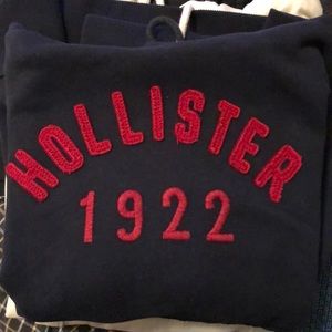 Hollister Men’s Hooded Sweatshirt Large